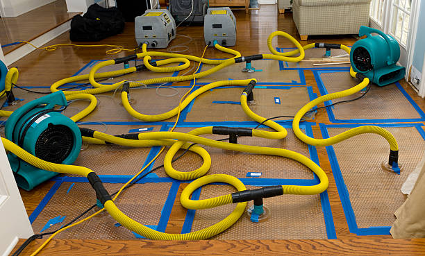 Professional Crawl Space Water Removal technician working in Clinton, MA
